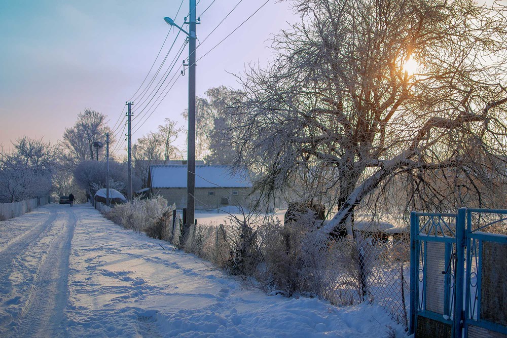 Фотографія Сільський ранок / Адель (Інна Романюк) / photographers.ua