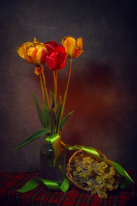 Фотографія Шотландські тюльпани / Адель (Інна Романюк) / photographers.ua