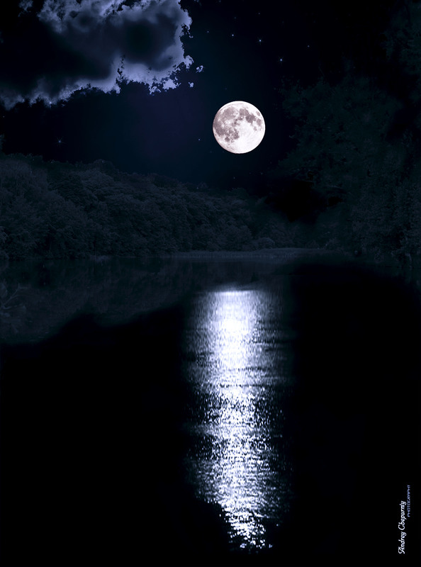 Фотографія Місяць на лісовому озері / Andrey Chepurniy / photographers.ua
