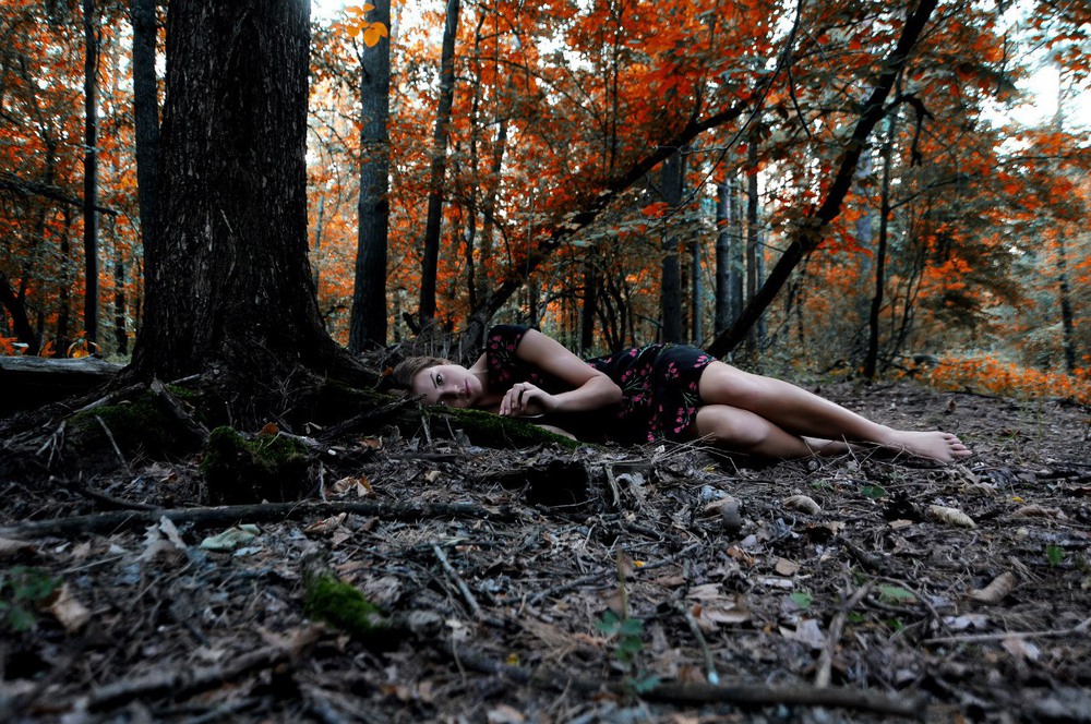 Фотографія Dream of a tree / Алина Миняйло / photographers.ua
