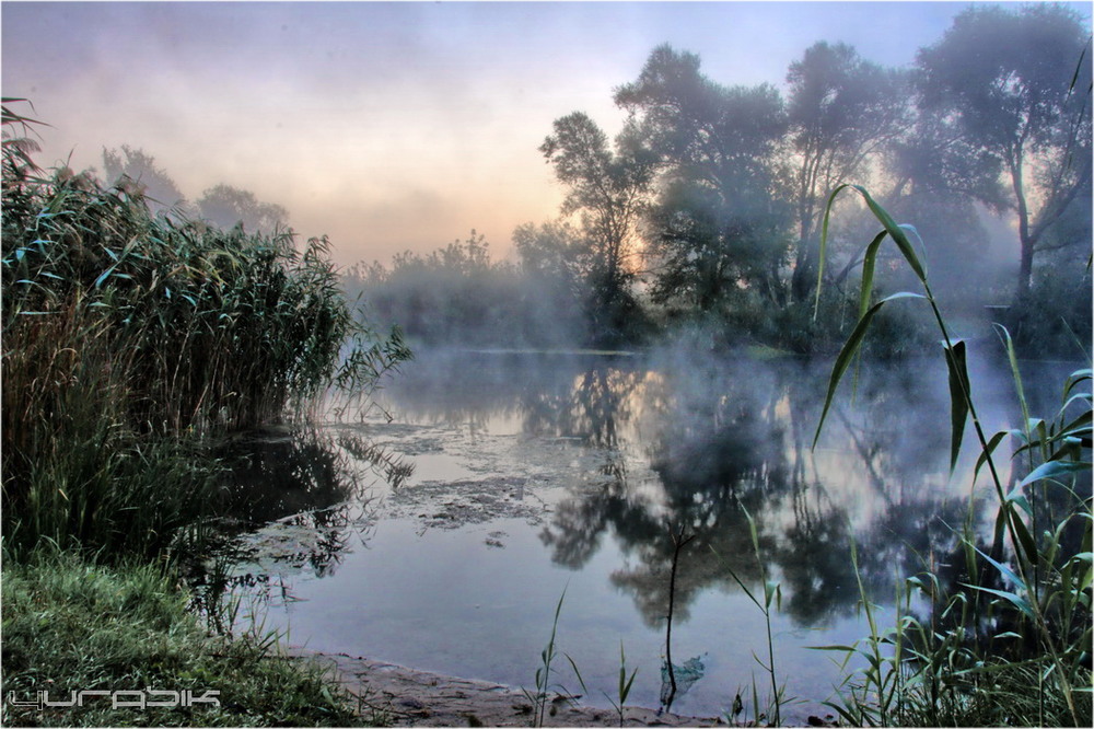 Фотографія Туманное утро на реке Оскол. / Юрий Voyager / photographers.ua
