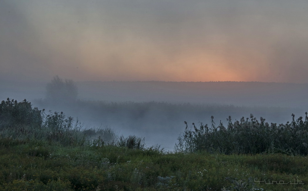 Фотографія Туманный рассвет над рекой Оскол. / Юрий Voyager / photographers.ua