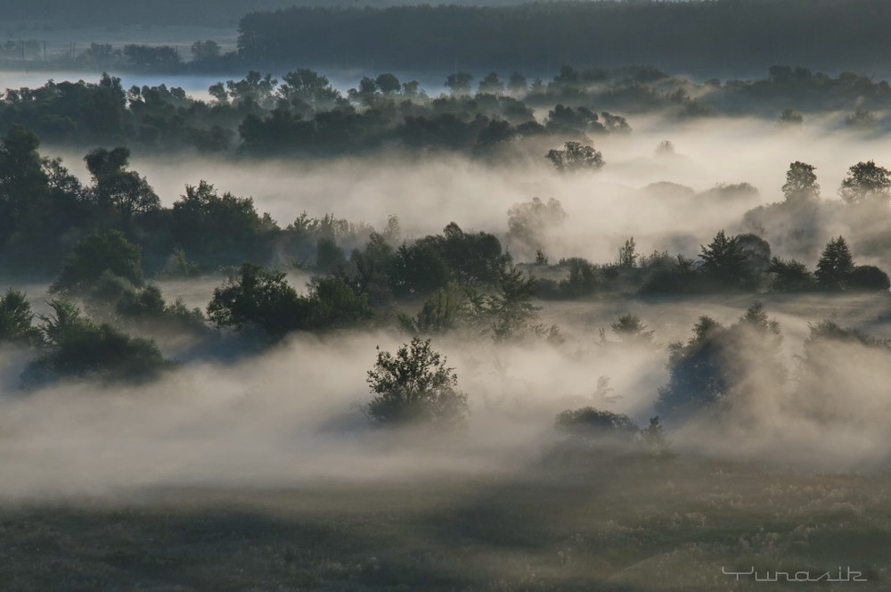 Фотографія Туман на рассвете в пойме реки Оскол. / Юрий Voyager / photographers.ua