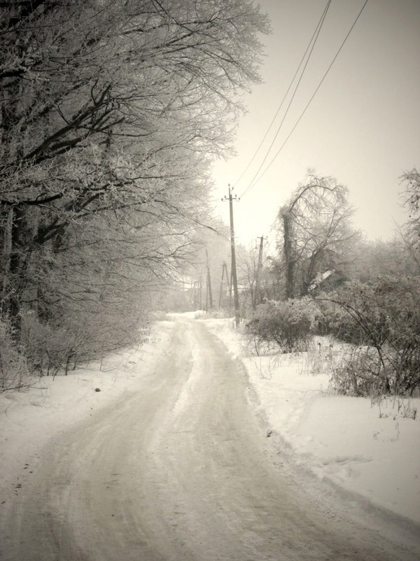 Фотографія Серебро зимы / Андрей Козак / photographers.ua
