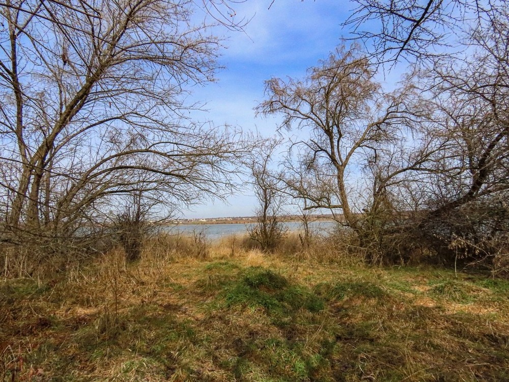 Фотографія На порозі весна. / Станіслав Гр / photographers.ua