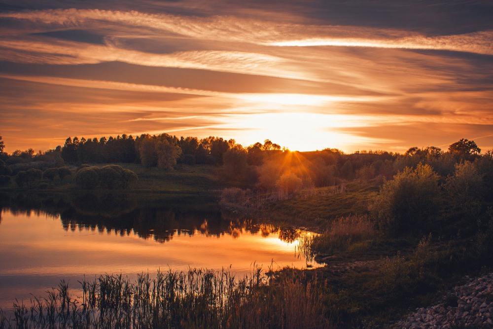 Фотографія *** / Екатерина Кокушкина / photographers.ua