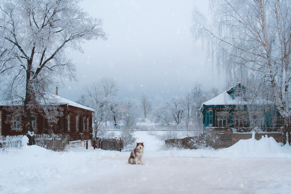 Фотографія Зимушка зима / Екатерина Кокушкина / photographers.ua