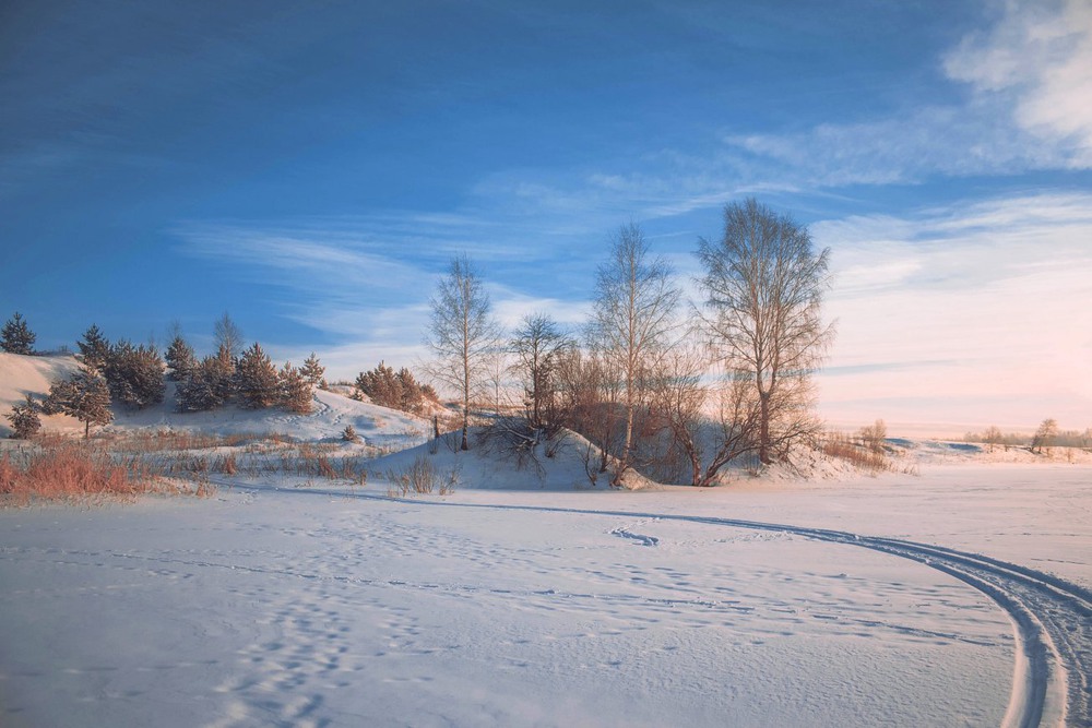 Фотографія Волшебница зима / Екатерина Кокушкина / photographers.ua
