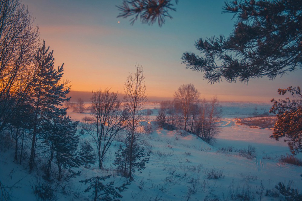 Фотографія Краски морозного утра / Екатерина Кокушкина / photographers.ua