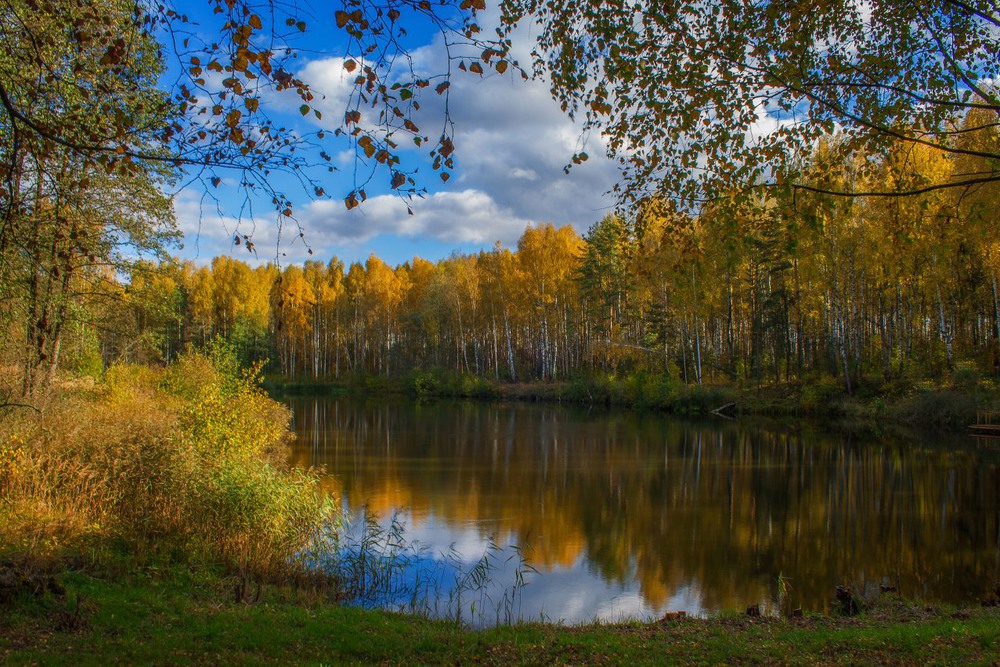 Фотографія Золотая осень на лесном озере / Екатерина Кокушкина / photographers.ua