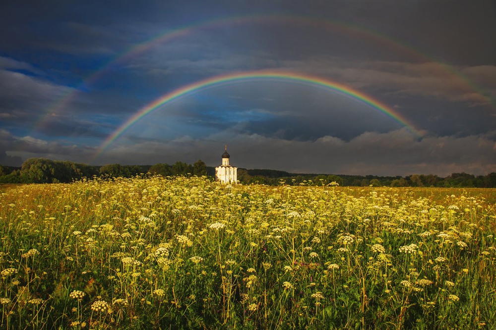 Фотографія После грозы / Екатерина Кокушкина / photographers.ua