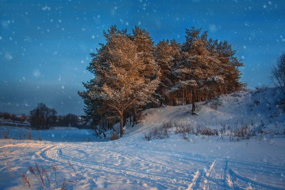 Фотографія Первые лучи солнца после снегопада / Екатерина Кокушкина / photographers.ua