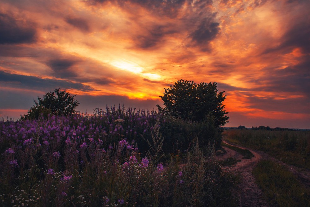 Фотографія *** / Екатерина Кокушкина / photographers.ua