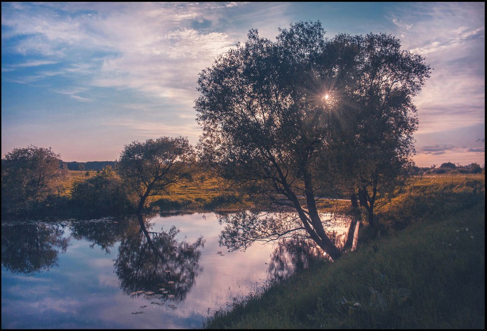 Фотографія Запуталось))) / Екатерина Кокушкина / photographers.ua