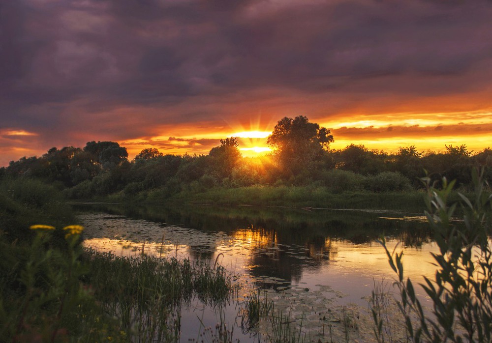 Фотографія Золото заката / Екатерина Кокушкина / photographers.ua