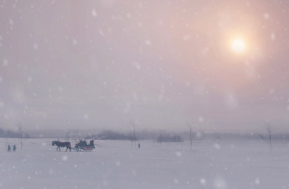Фотографія Мороз и солнце...и метель! / Екатерина Кокушкина / photographers.ua