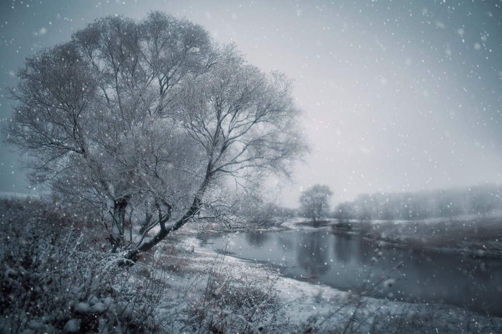 Фотографія Зимушка любимая / Екатерина Кокушкина / photographers.ua