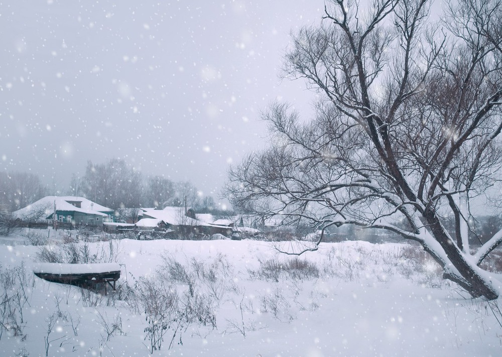 Фотографія Зимушка укутала все теплым снежным покрывалом / Екатерина Кокушкина / photographers.ua