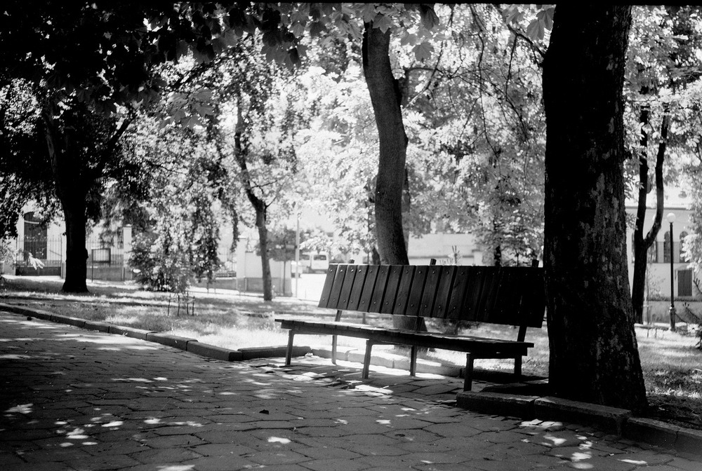 Фотографія ''Парк Просвіти'' / Роман Литвин / photographers.ua