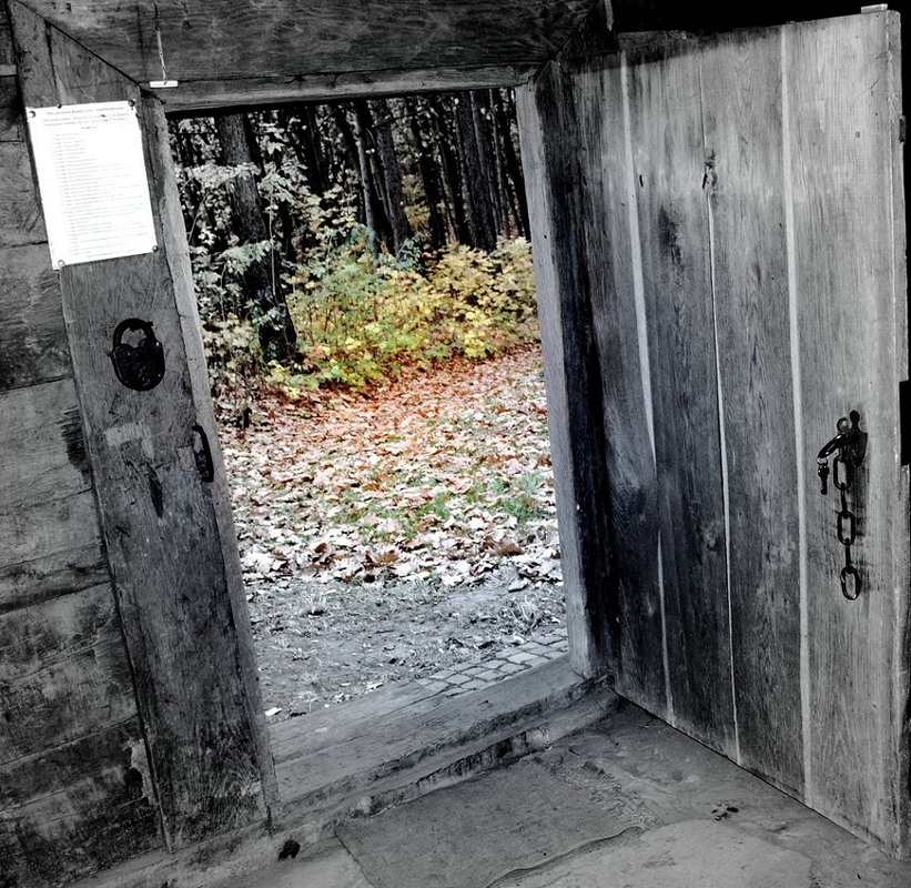 Фотографія Двері в осінь / Роман Литвин / photographers.ua