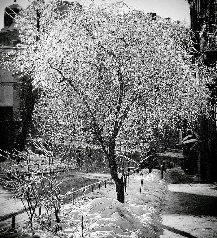 Фотографія Парасолька / Роман Литвин / photographers.ua