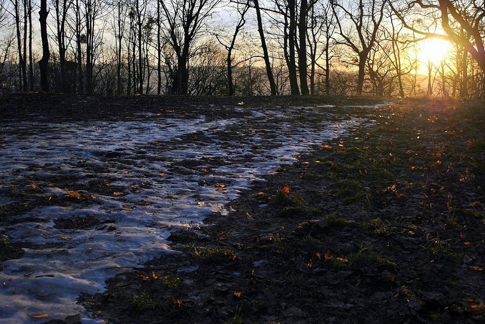 Фотографія Дорога / Роман Литвин / photographers.ua