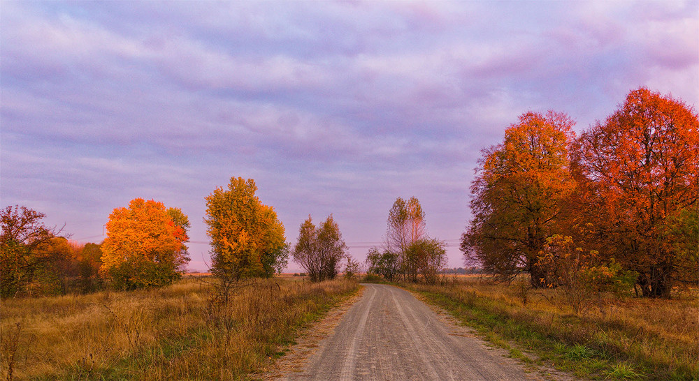 Фотографія По дороге... / Na-ta-li / photographers.ua