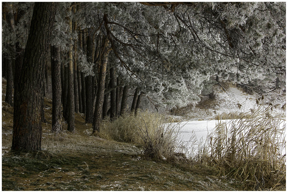 Фотографія Пейзаж / Na-ta-li / photographers.ua