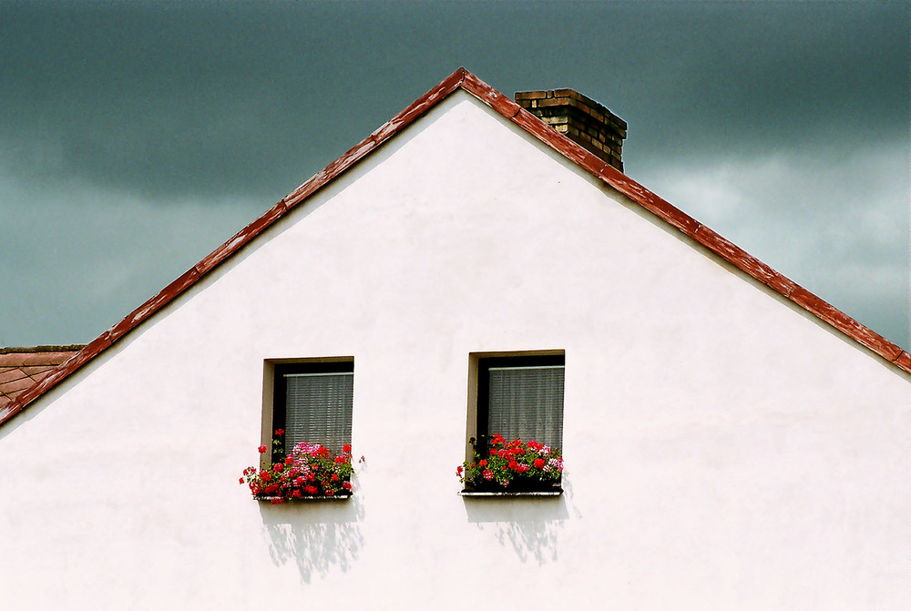 Фотографія Два окна с цветами / Oleksiy S / photographers.ua