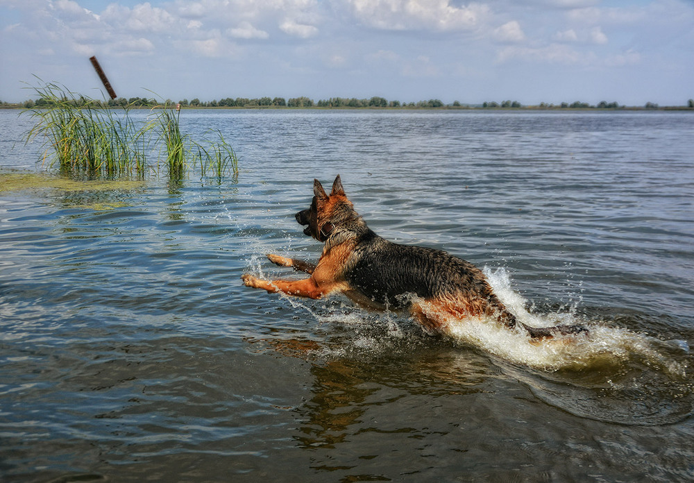 Фотографія Аппорт!!! / Weektour / photographers.ua