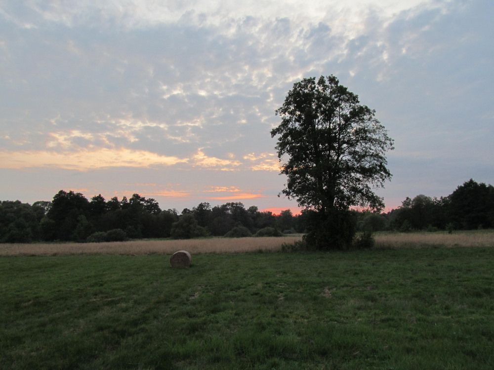 Фотографія Закат / tomasz / photographers.ua