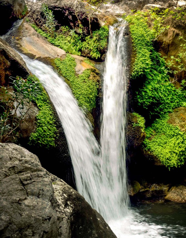 Фотографія Пейзаж / Victoria Martyn / photographers.ua