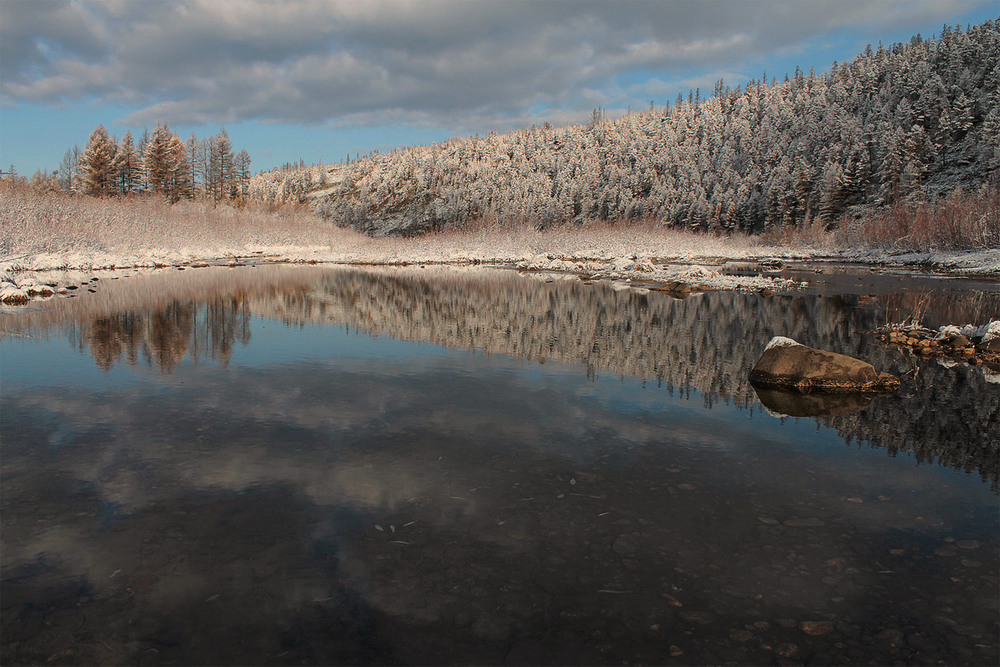 Фотографія Первые робкие снега следы... / Евгения Левина / photographers.ua