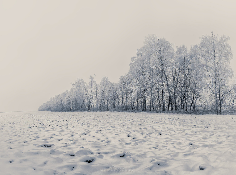 Фотографія Зимовими кордонами Древляні / Мокрицький Павло MOKRIZZONNI / photographers.ua