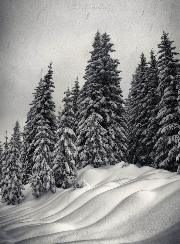 Фотографія "Метуть сніги. Сніги метуть, метуть…" (с) / Мокрицький Павло MOKRIZZONNI / photographers.ua