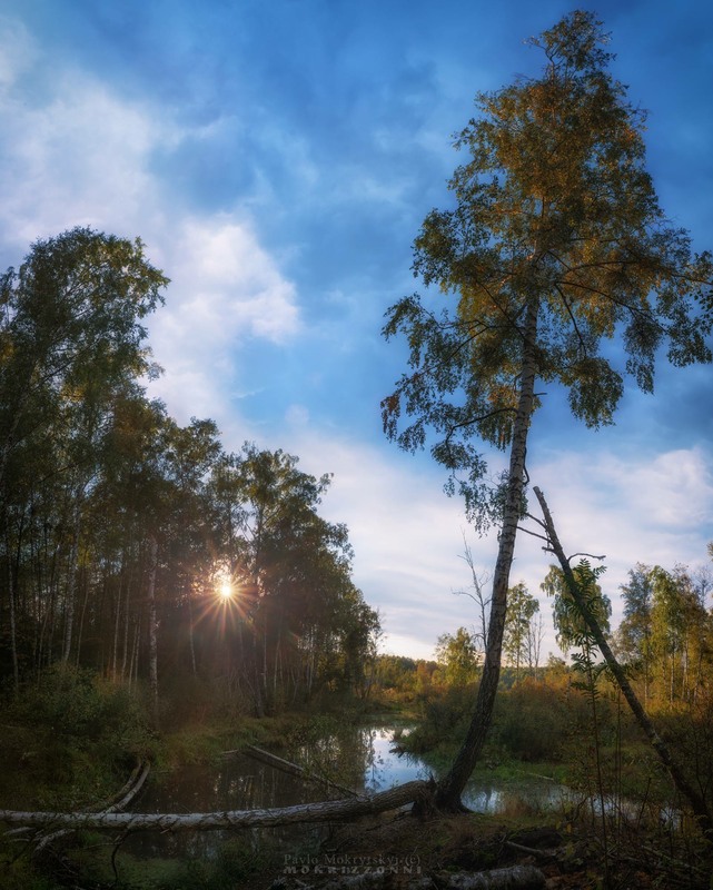 Фотографія Вечір на Бобровому болоті / Мокрицький Павло MOKRIZZONNI / photographers.ua