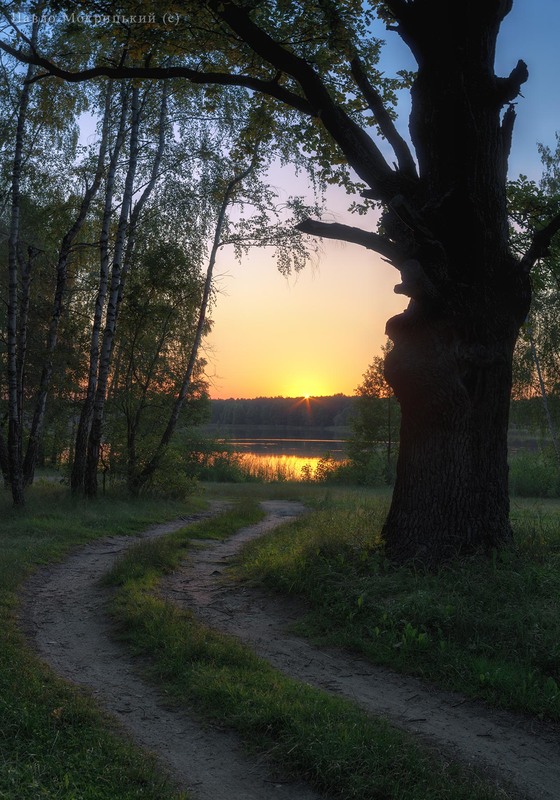 Фотографія "Загрузнуть в ніч язичнецькі бори..." (c) №2 / Мокрицький Павло MOKRIZZONNI / photographers.ua