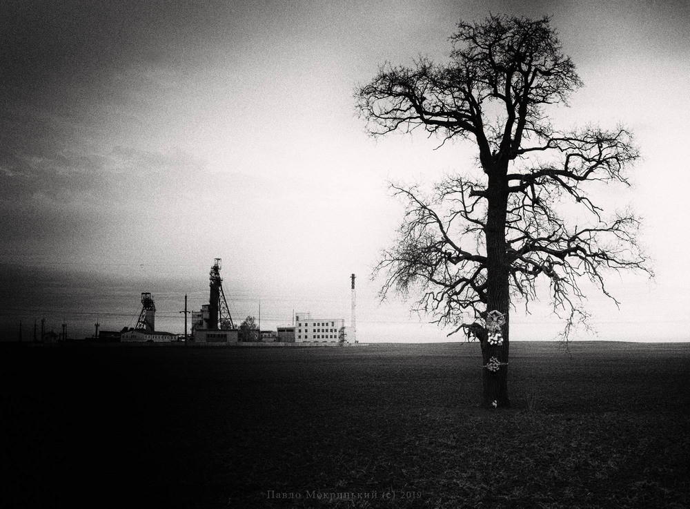Фотографія "The Last oak" / Мокрицький Павло MOKRIZZONNI / photographers.ua