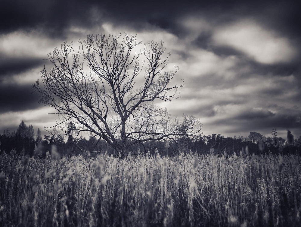 Фотографія "Awesome Alone" №10 / Мокрицький Павло MOKRIZZONNI / photographers.ua