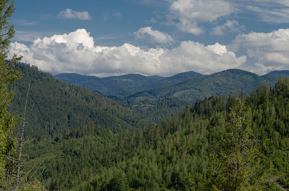 Фотографія Пейзаж / Щукін Олександр / photographers.ua