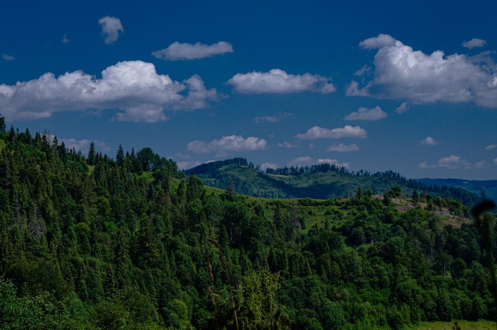Фотографія Пейзаж / Щукін Олександр / photographers.ua