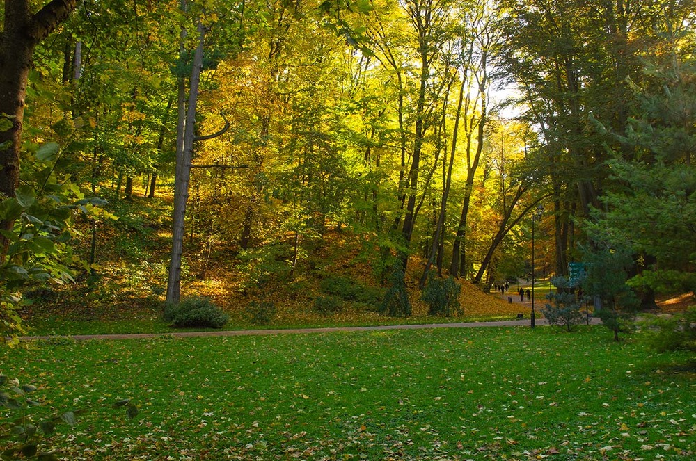 Фотографія Пейзаж / Щукін Олександр / photographers.ua