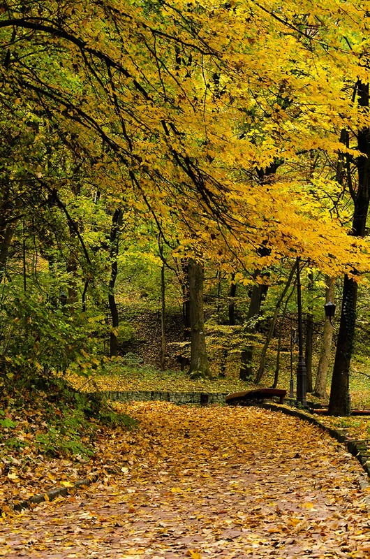 Фотографія Осінніми стежками / Щукін Олександр / photographers.ua