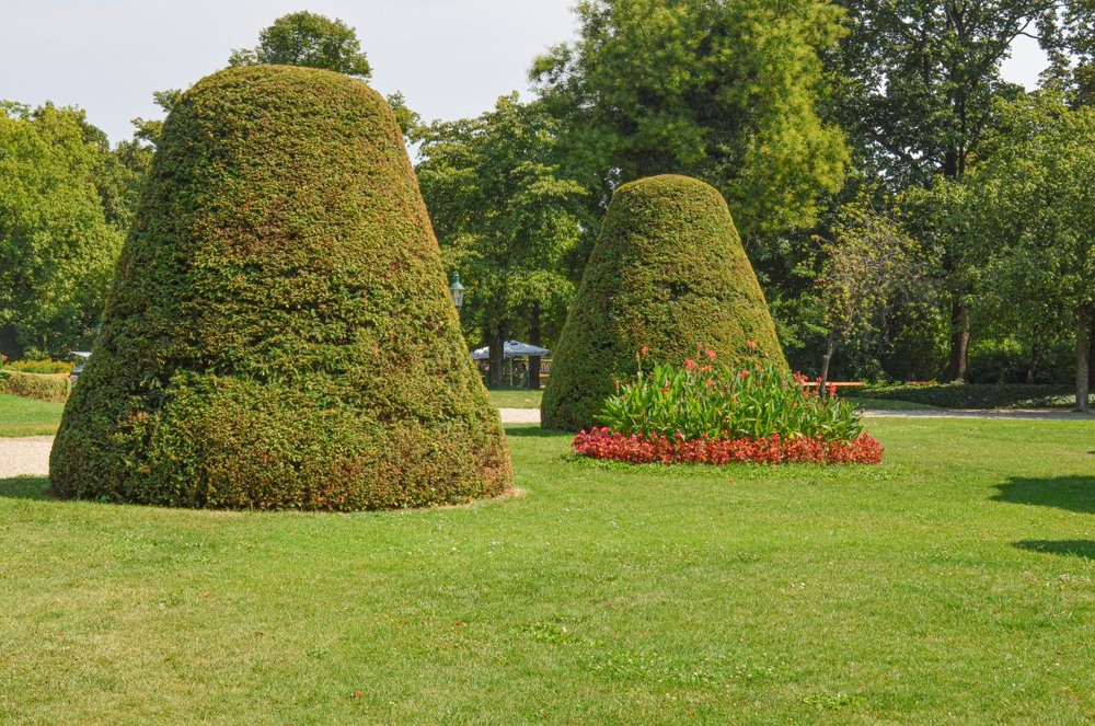 Фотографія Міський парк. Відень. / Щукін Олександр / photographers.ua
