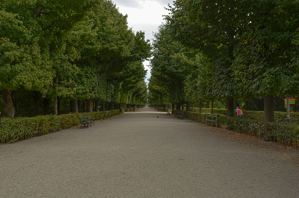 Фотографія *** / Щукін Олександр / photographers.ua