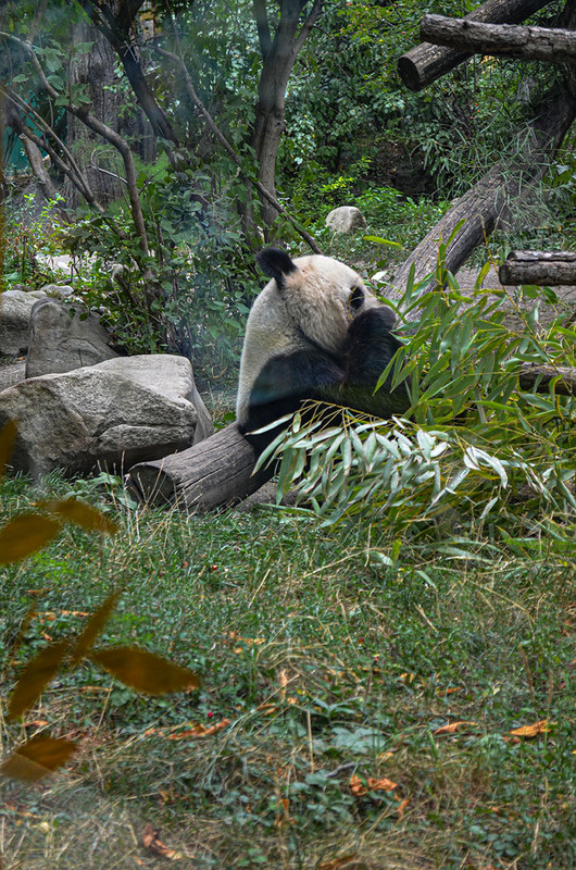 Фотографія Животные / Щукін Олександр / photographers.ua