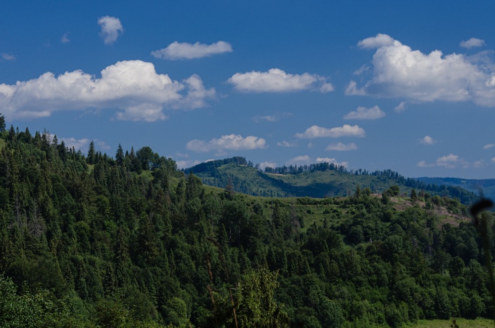 Фотографія Пейзаж / Щукін Олександр / photographers.ua