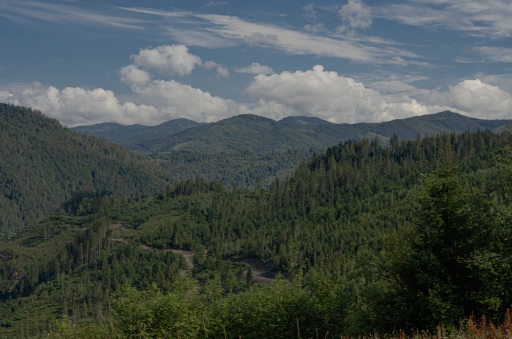Фотографія Пейзаж / Щукін Олександр / photographers.ua
