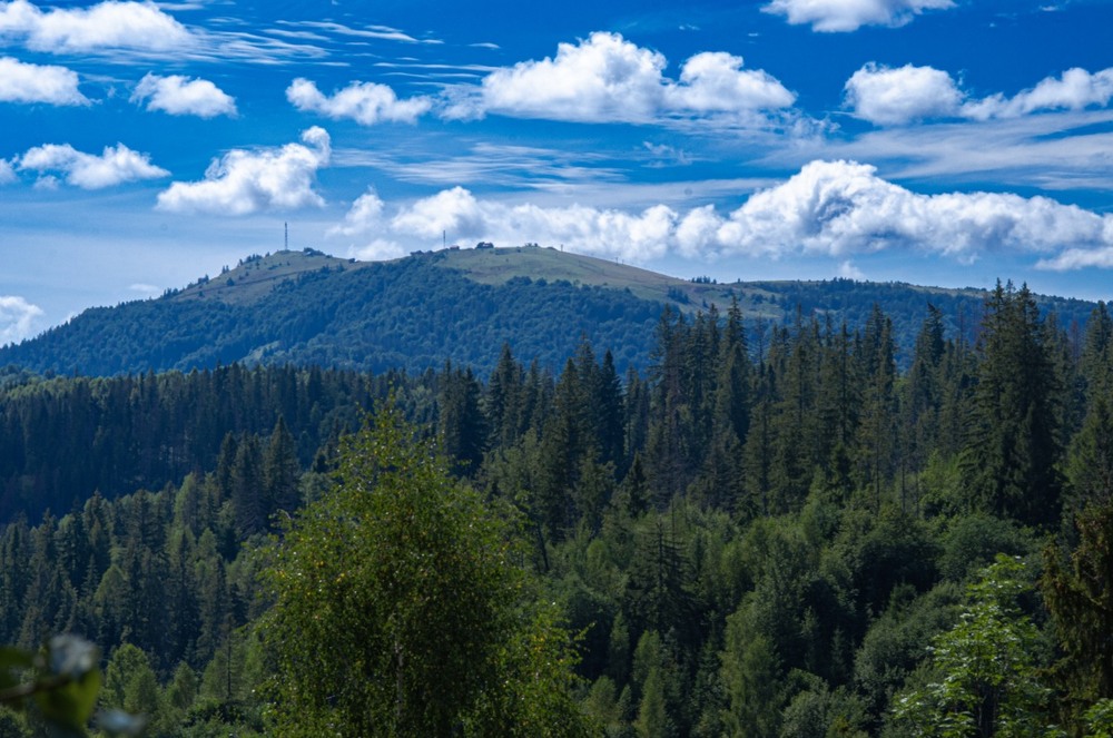 Фотографія *** / Щукін Олександр / photographers.ua