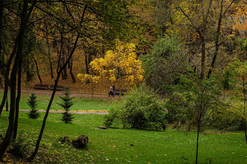 Фотографія Осінній парк / Щукін Олександр / photographers.ua